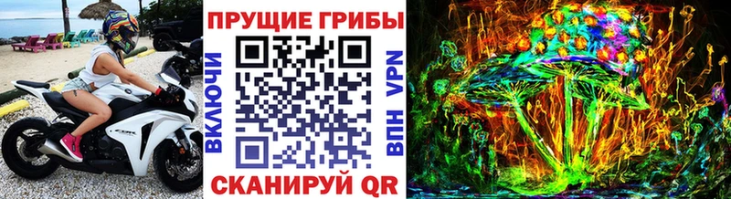Псилоцибиновые грибы MAGIC MUSHROOMS  где продают наркотики  Абинск 