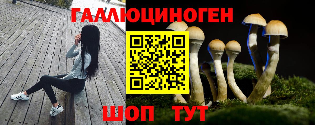 Псилоцибиновые грибы Magic Shrooms Абинск