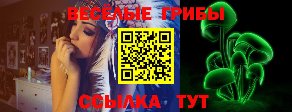 Псилоцибиновые грибы Psilocybine cubensis  Вход с VPN  Абинск  наркота  Псилоцибиновые грибы GOLDEN TEACHER 